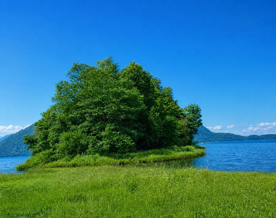 洞爺湖珍小島
