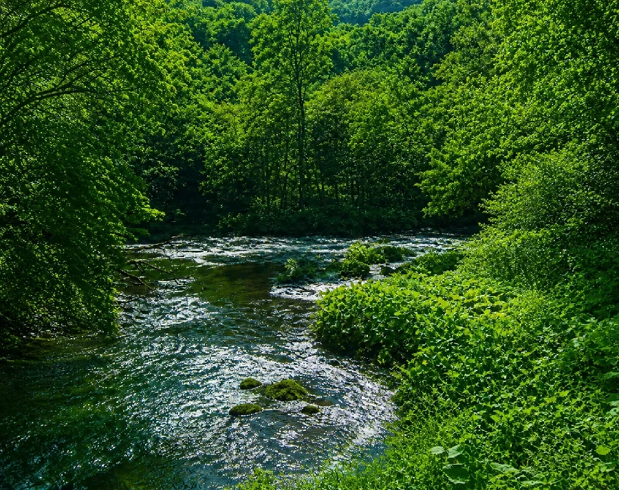 阿寒川雄観橋付近