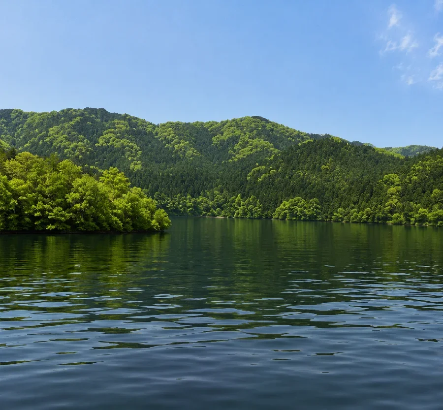三河湖新田ボラ