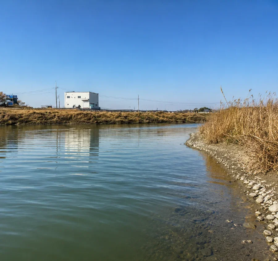 油ヶ淵半場川インレット