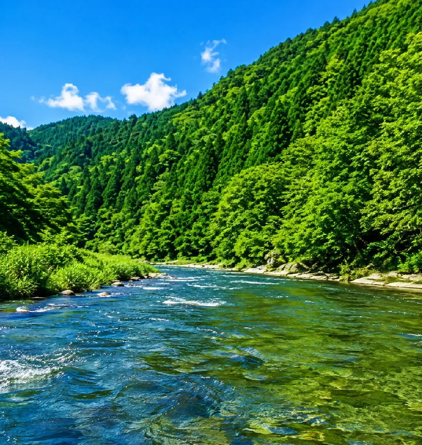 川角橋周辺