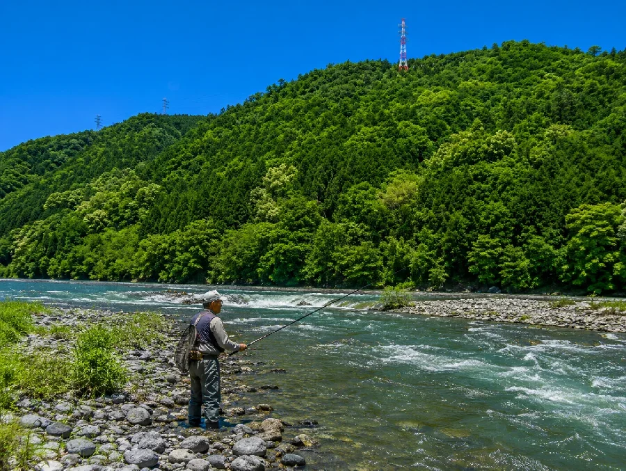 富士川芝川合流点周辺