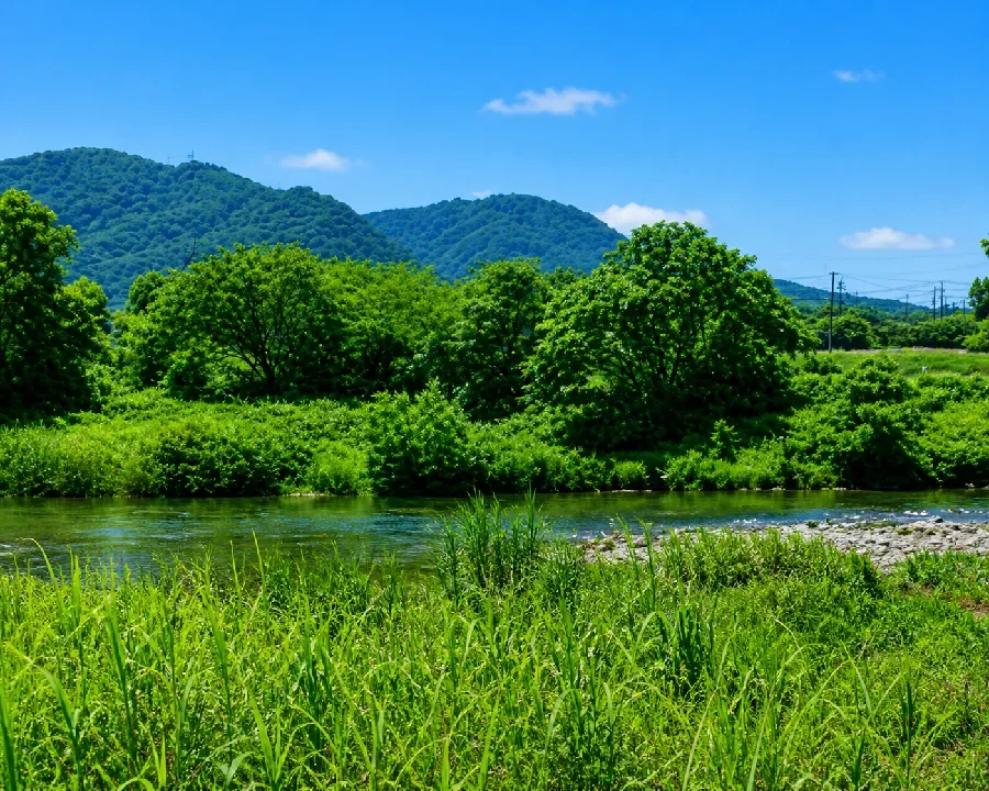 阿武隈川摺上川合流地点付近