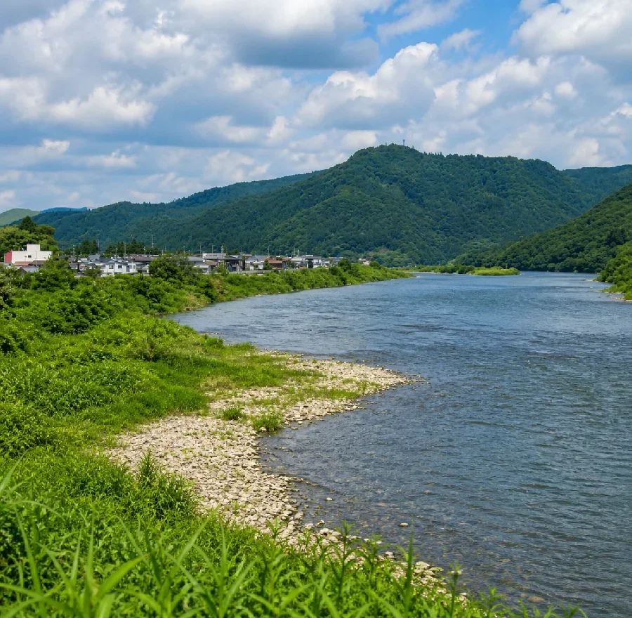 米代川銀杏橋付