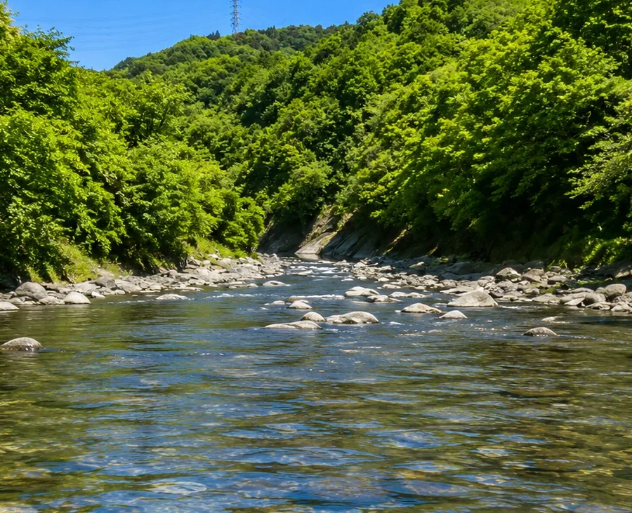 新鮎沢橋周辺