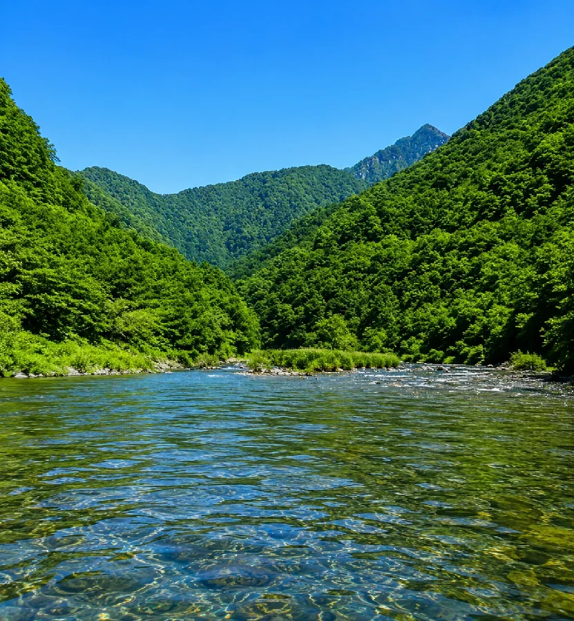 三面ダム下流