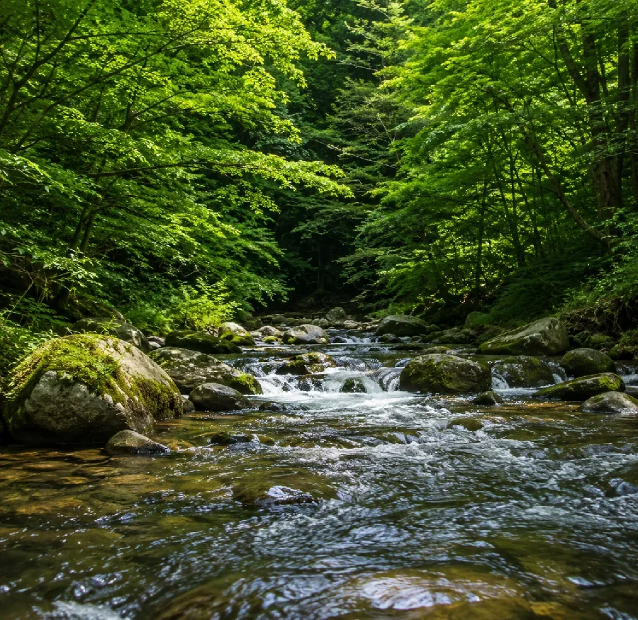 花園川花園橋下流