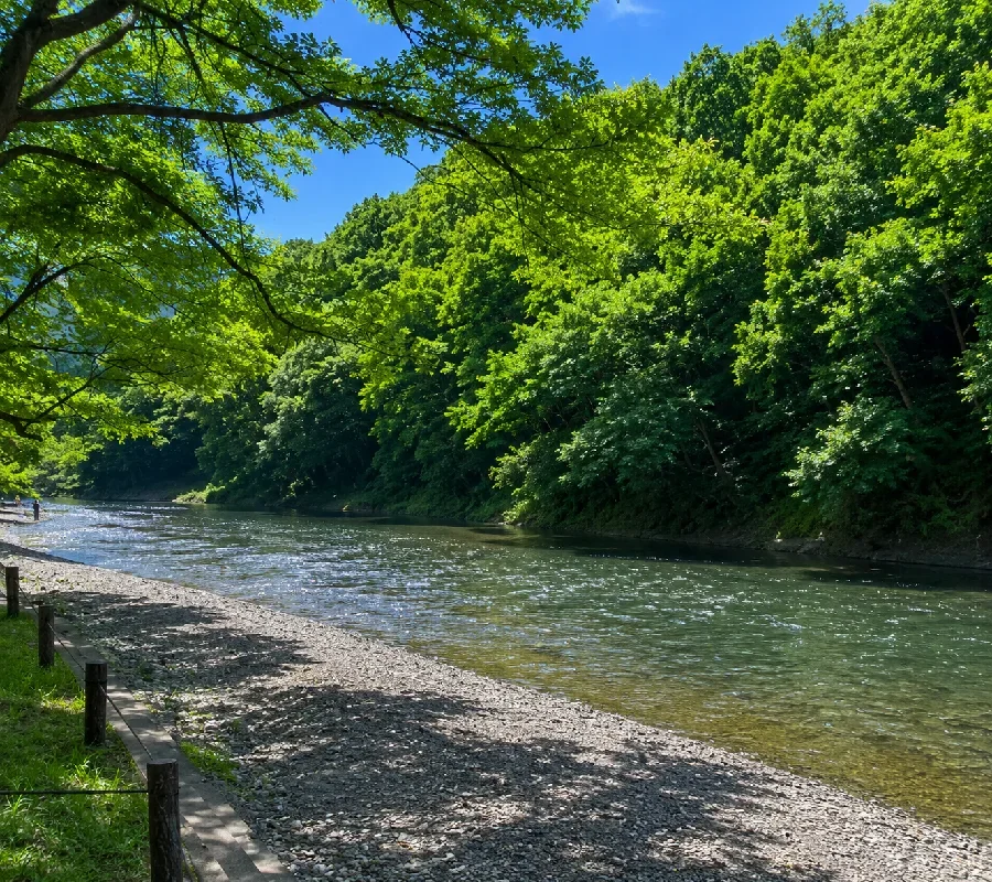 高麗川巾着田