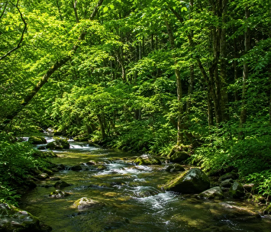 八溝川大久保沢