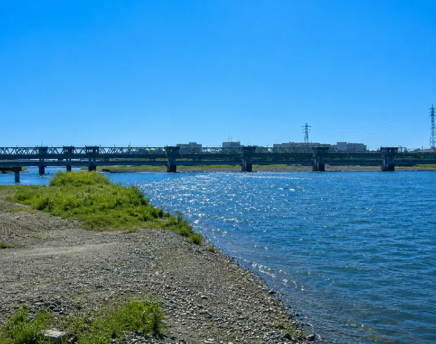 酒匂川飯泉橋付近