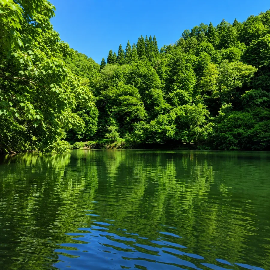 矢作ダム長井坂橋周辺