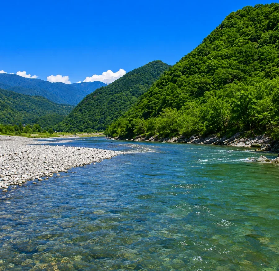 富士川早川合流点付近