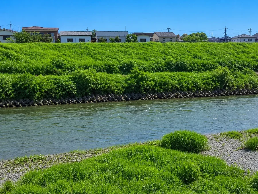 阿武隈川鎌田大橋周辺