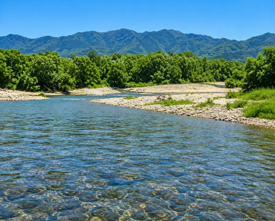 三面川高根川合流部付近