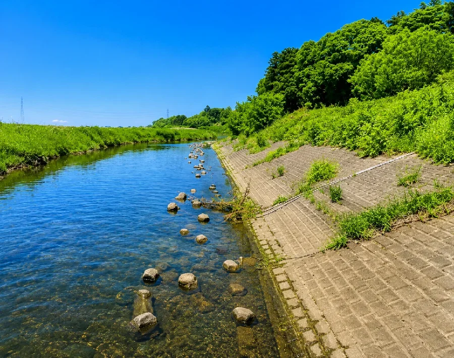 思川友沼橋付近