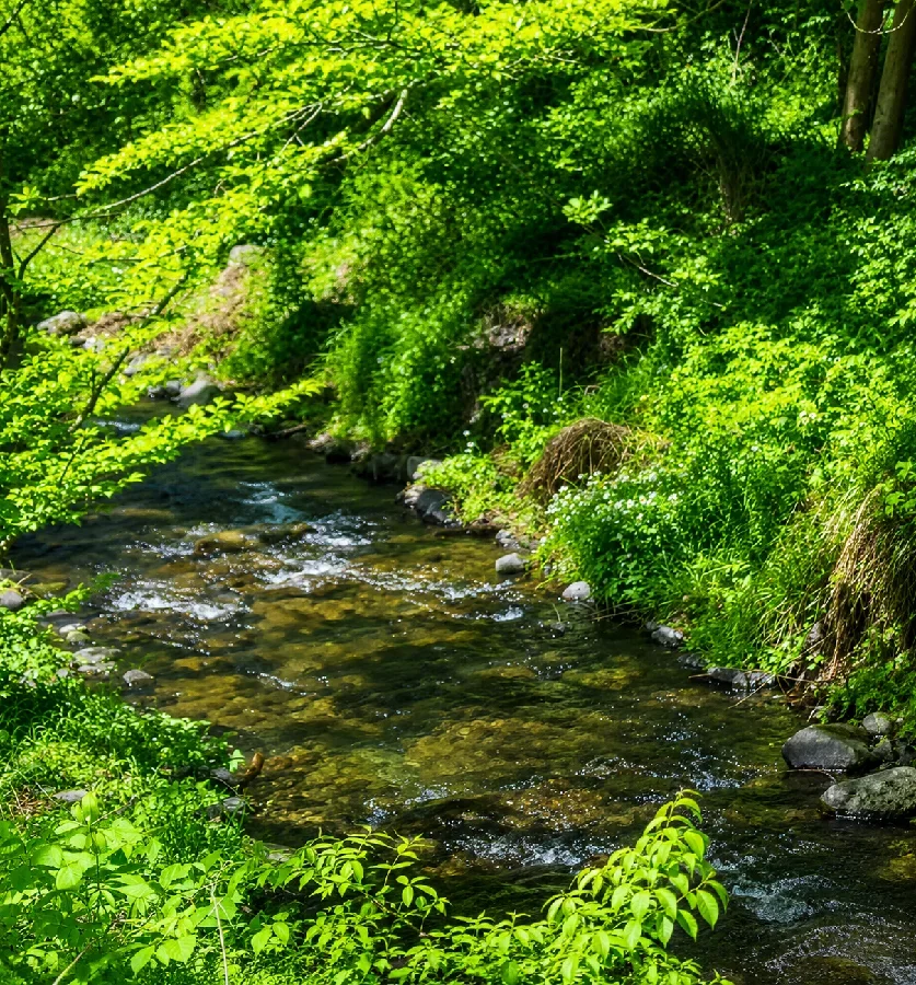 八溝川殕石沢