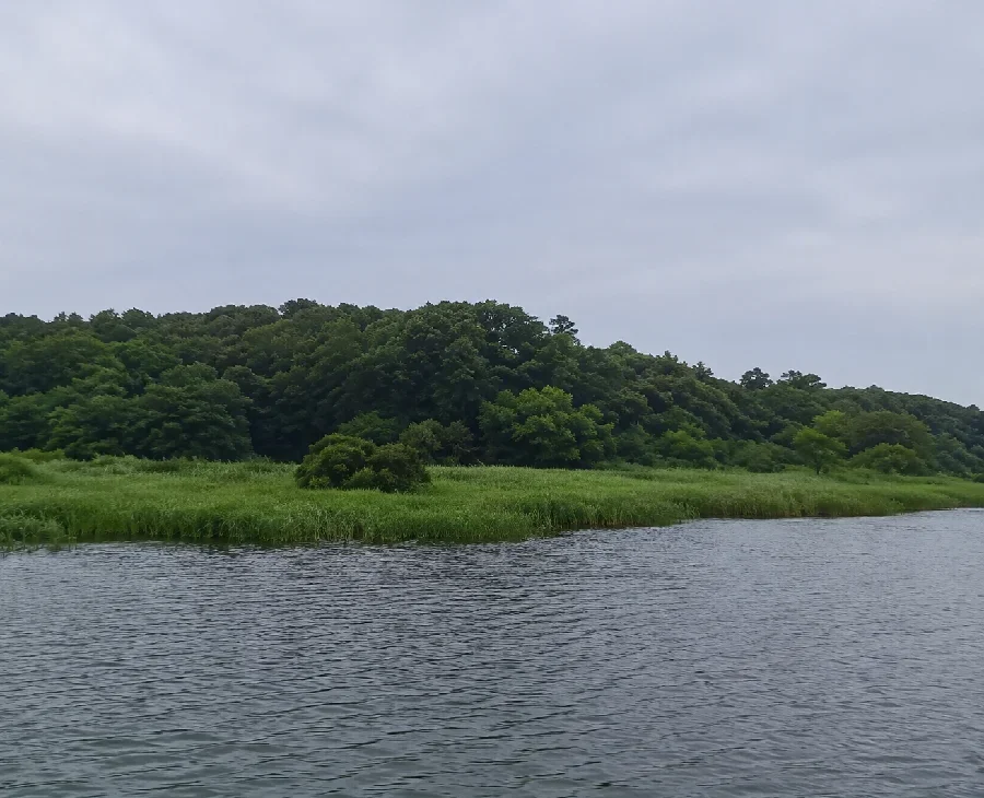 多々良沼新田広場前