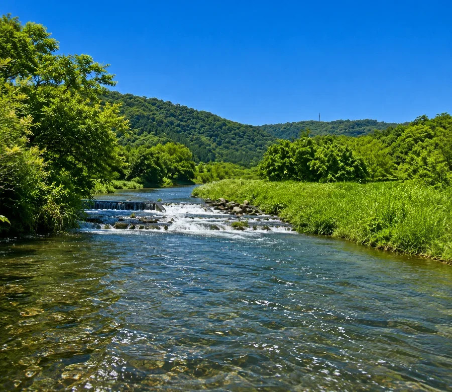 中津川才戸橋付近