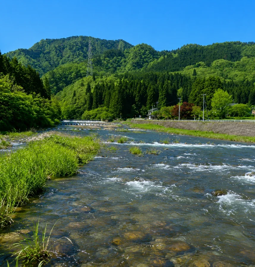 荒川支流大石川