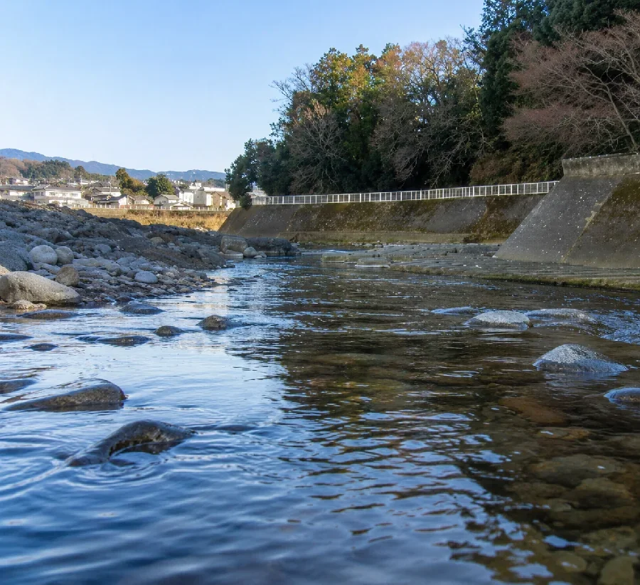 黄瀬川水窪大堰周辺