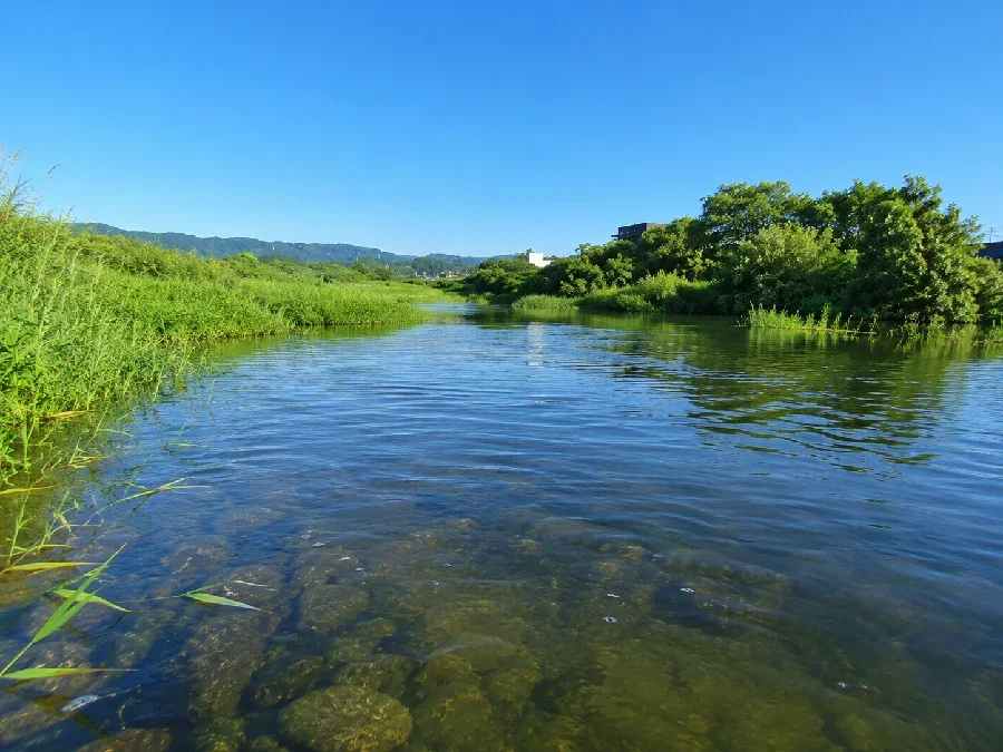 花園川大北川合流地点付近