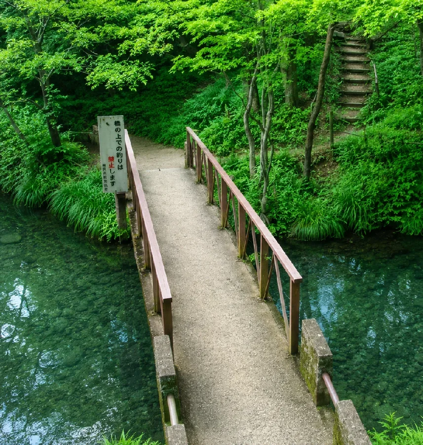 震生湖橋周辺