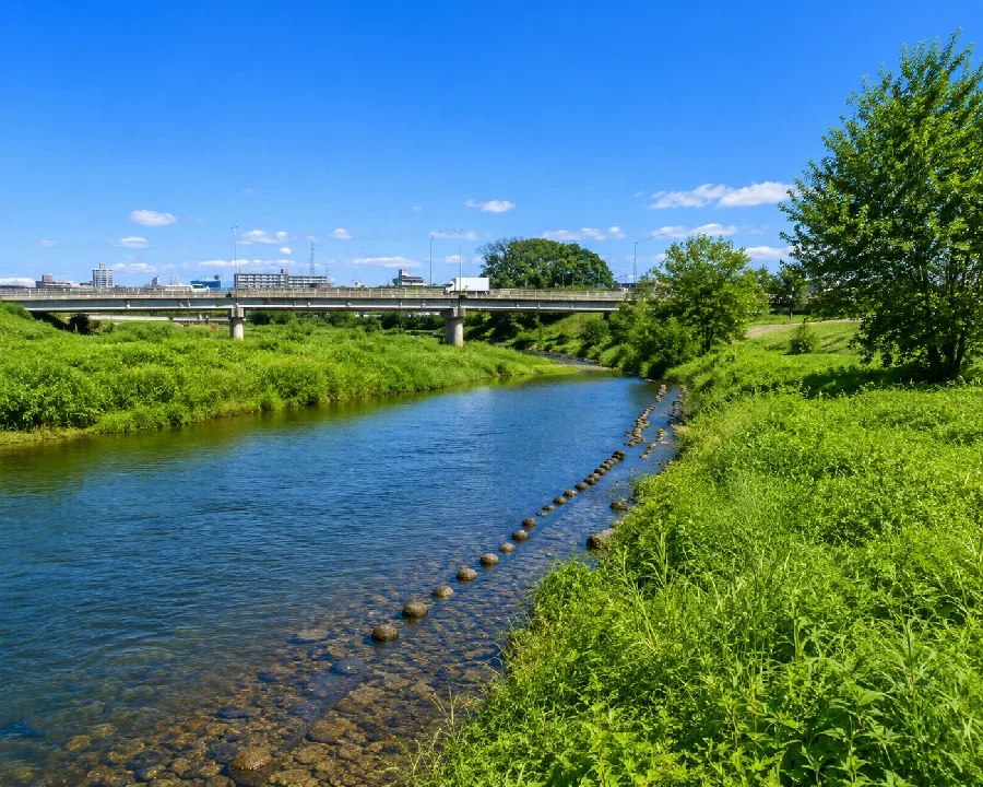 高麗川粟生田堰付近