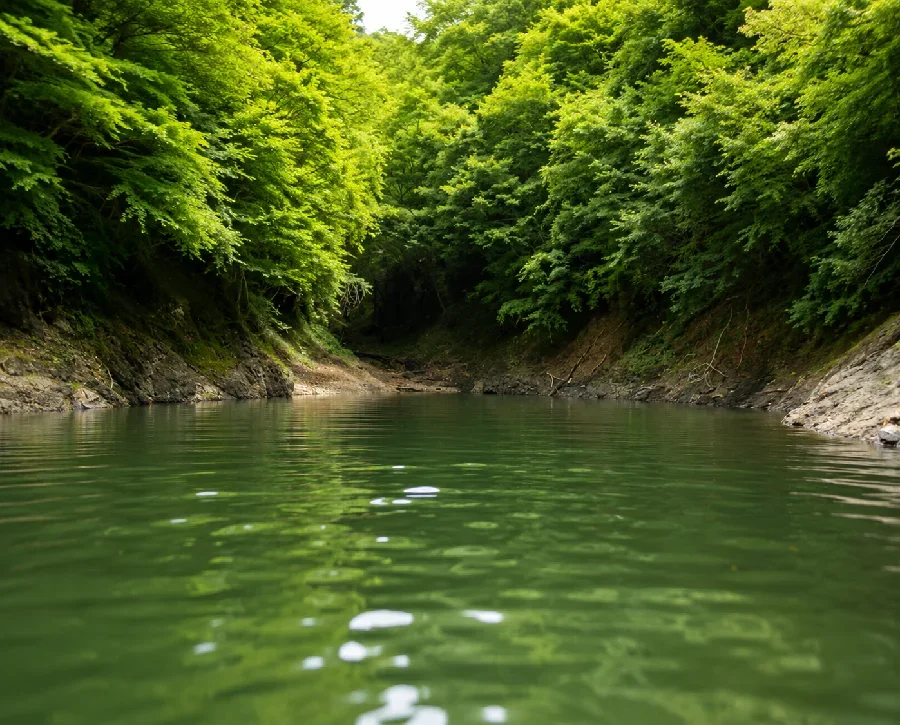 奥多摩湖麥山橋ワンド