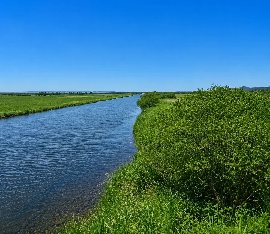 釧路川湿原大橋付近