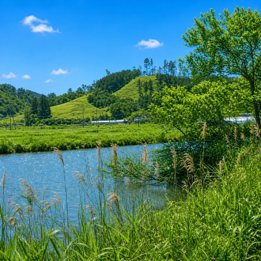 八郎潟大口団地公園付近