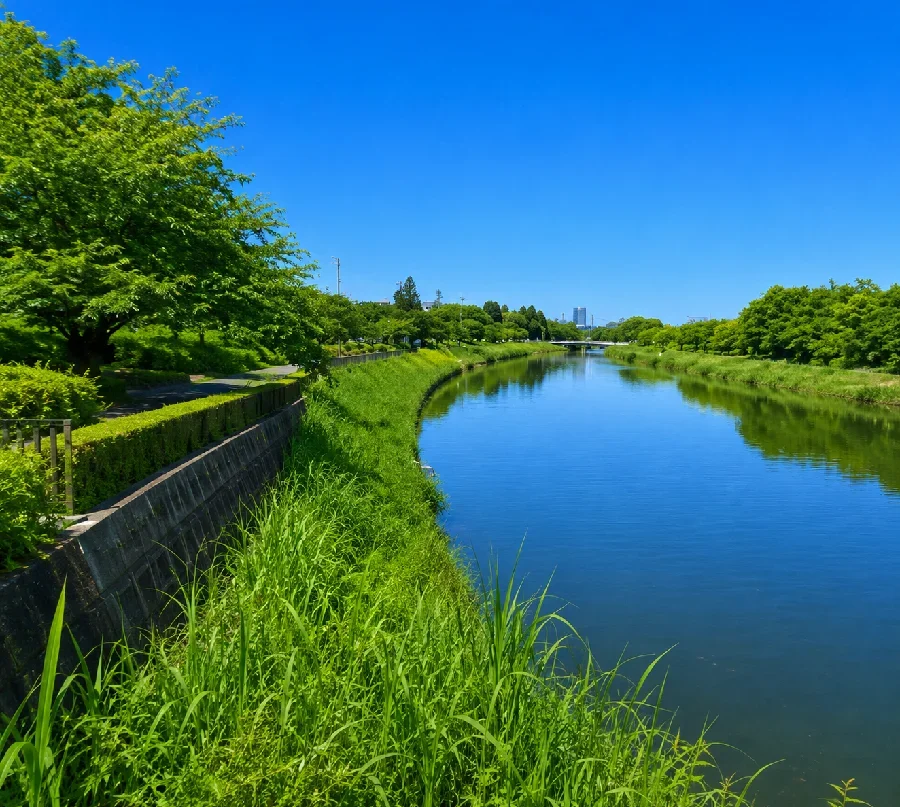 城沼ふれあい橋付近
