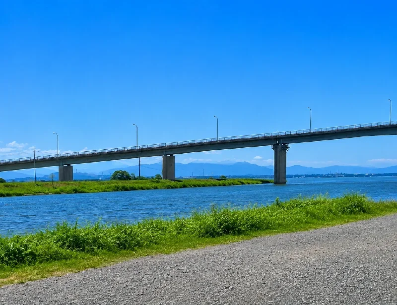 中海大橋周辺