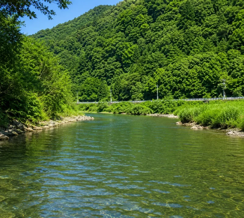 江の川カヌー公園周辺