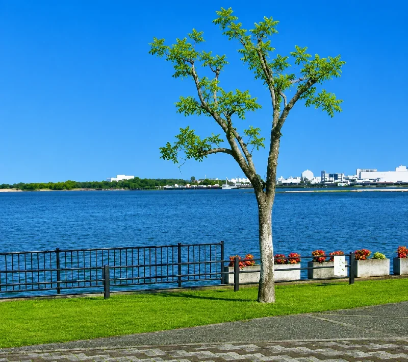 児島湖郡公園周辺