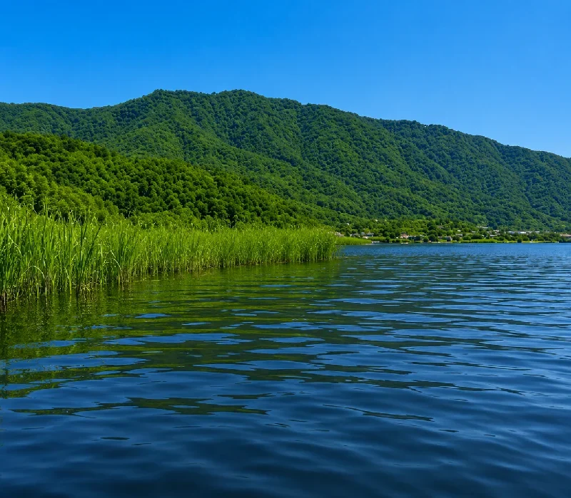 西の湖トムソーヤ前