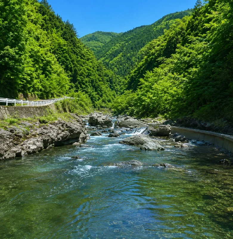 天保橋周辺