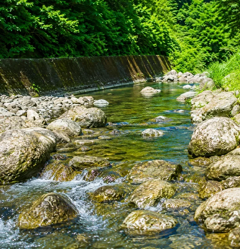 鏡川土佐山庁舎前周辺
