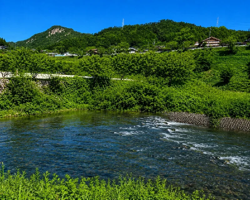 弥栄湖スポーツ公園下ワンド