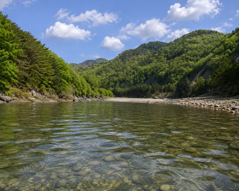 八田原ダム井庄原大橋周辺
