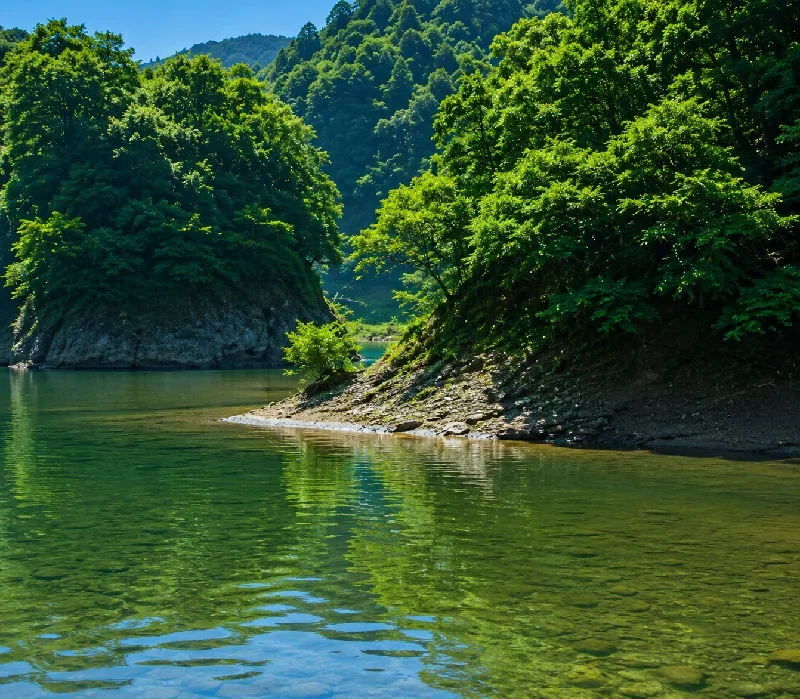 七川ダム添野川筋