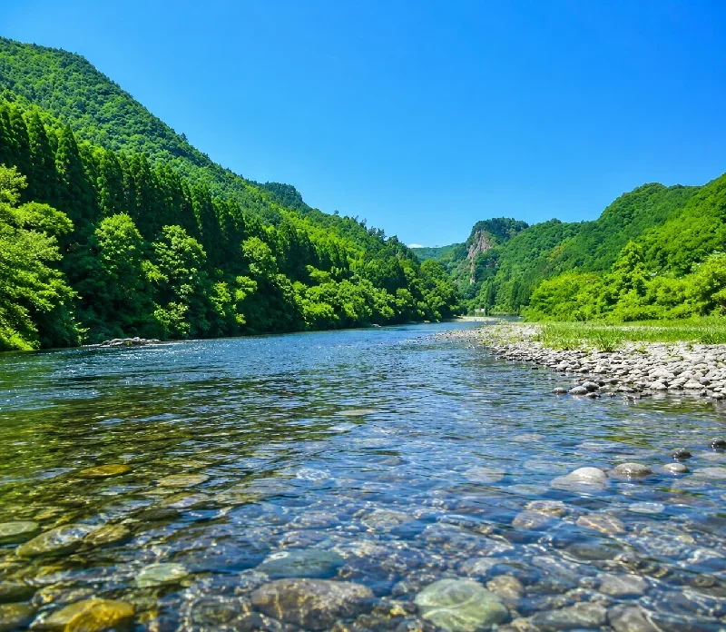 古座川鶴川橋周辺
