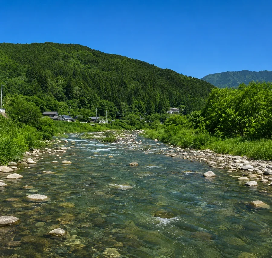 付知川島田橋周辺