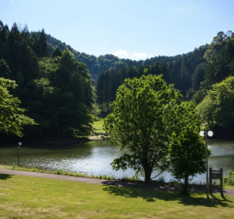 天湖森芝生広場前