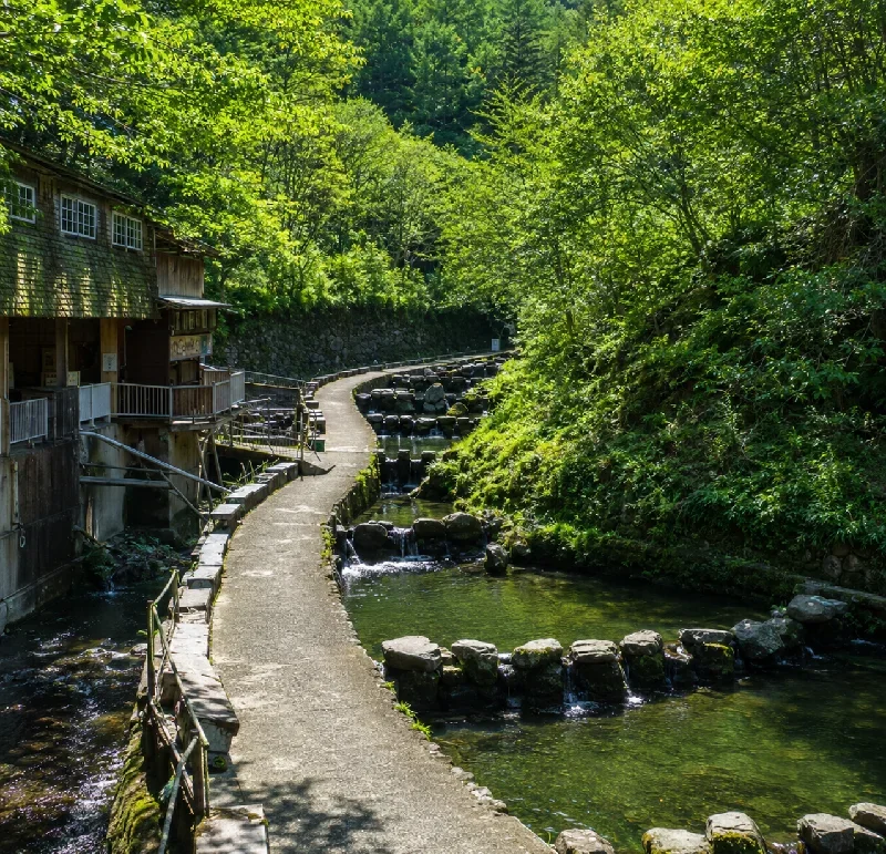 千早川マス釣り場一般釣り場