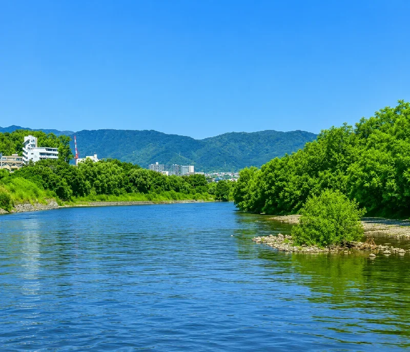 宇治川観月橋周辺