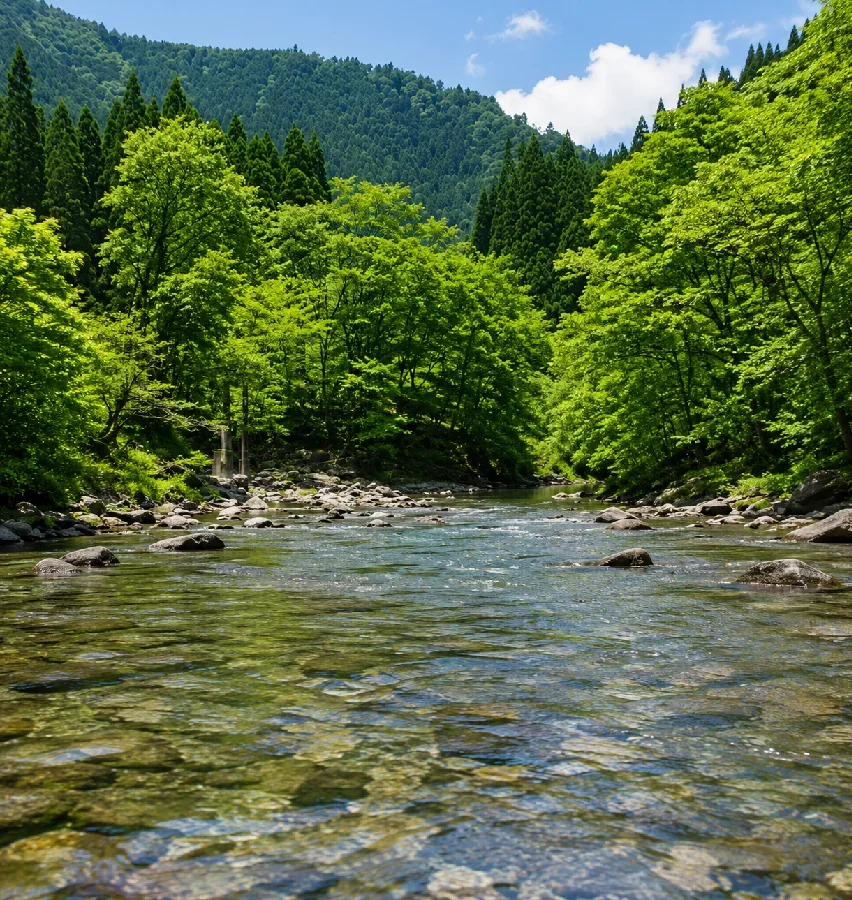 弓掛川日出雲川合流地点付近