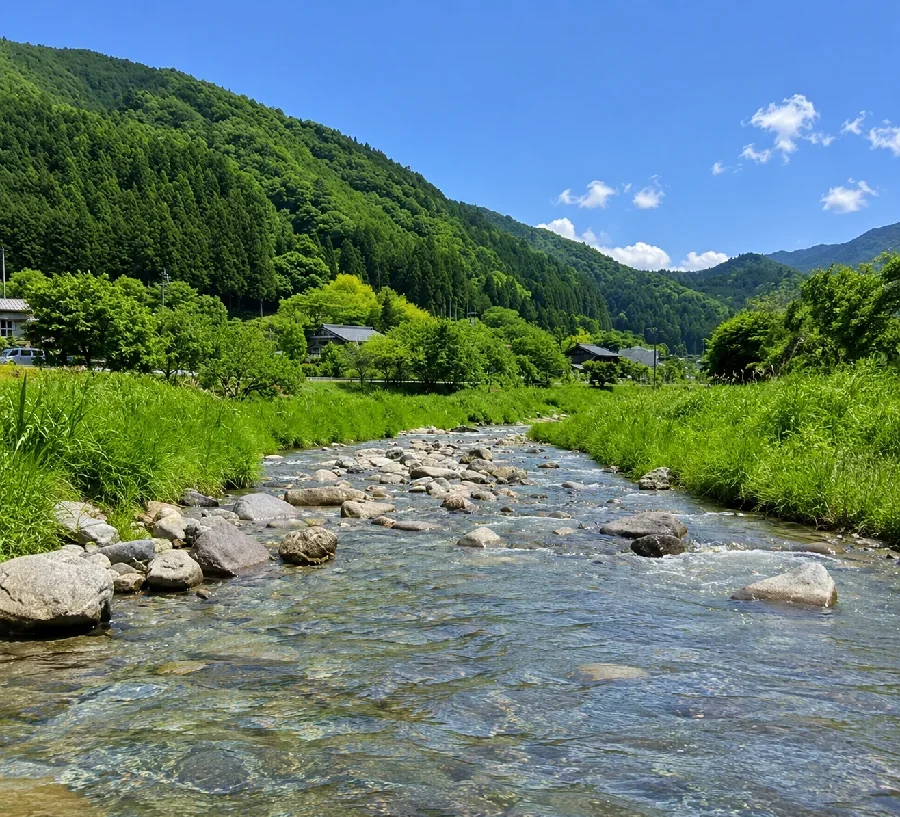 弓掛川弓掛堰堤周辺