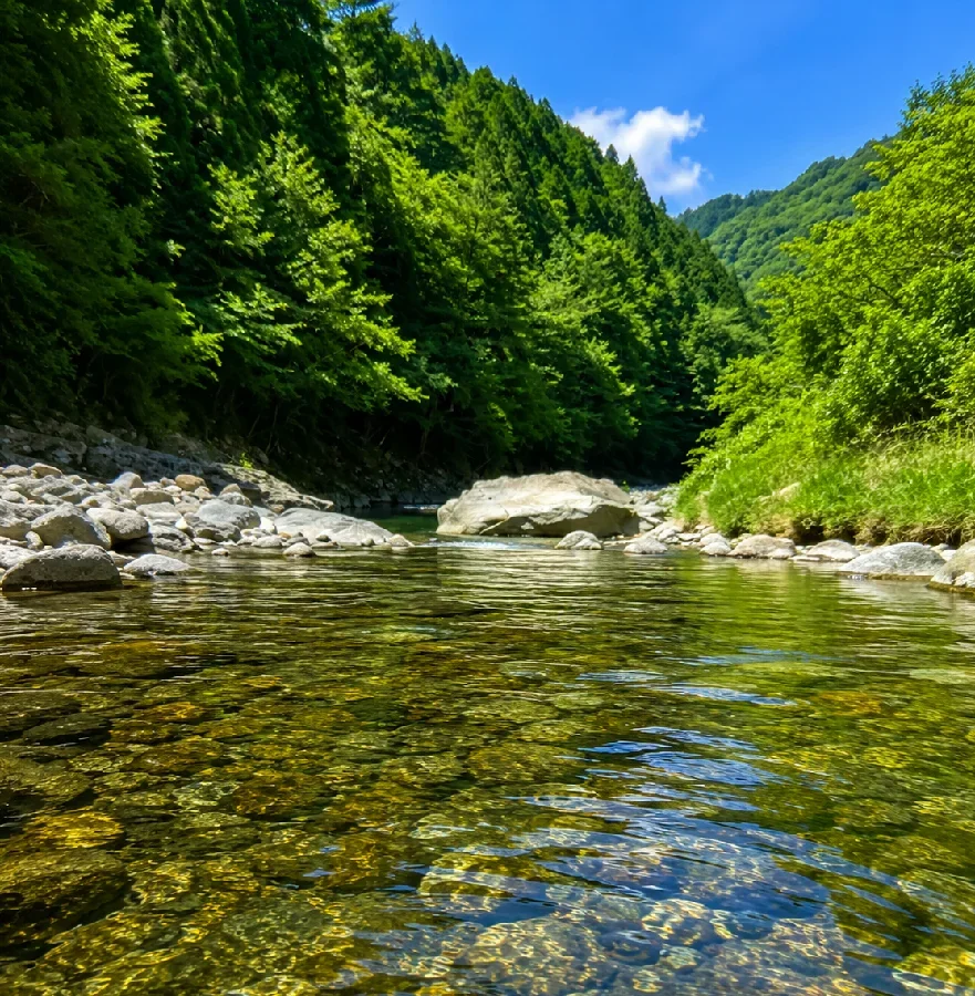 佐見川堰堤周辺