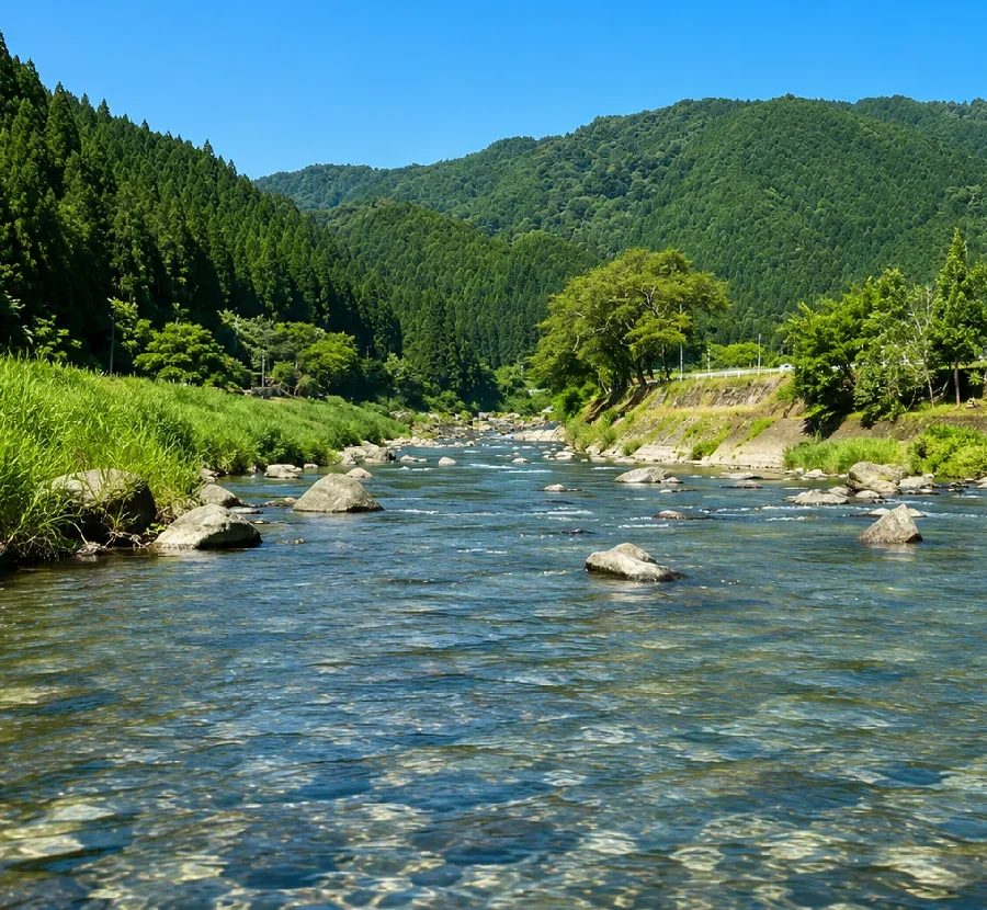 和良川梨の木公園周辺