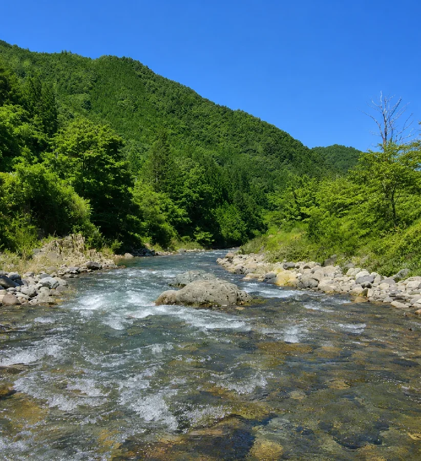 秋神川秋神グラウンド付近